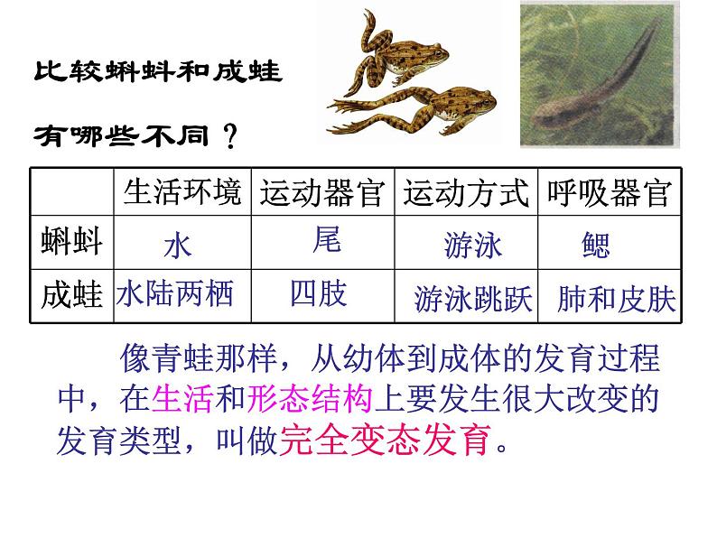 浙教版七年级下册科学 1.3动物的生长时期 课件06