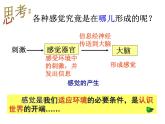 浙教版七年级下册科学 2.1感觉世界 课件