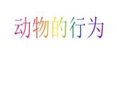 華師大版八年級下冊科學(xué) 7.1動物的行為 課件
