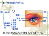 华师大版八年级下册科学 3.1眼与视觉 课件