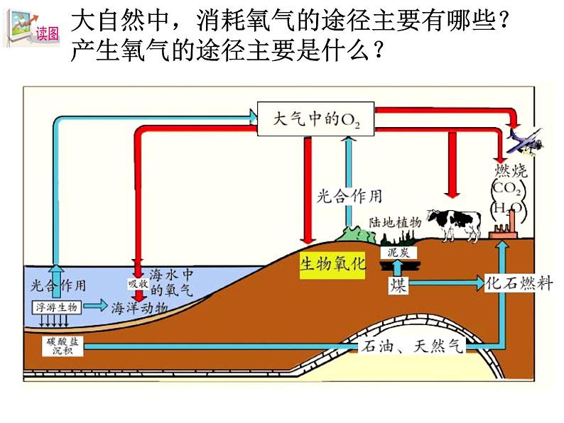 浙教版八下科学 3.7自然界中的氧循环和碳循环 课件第3页