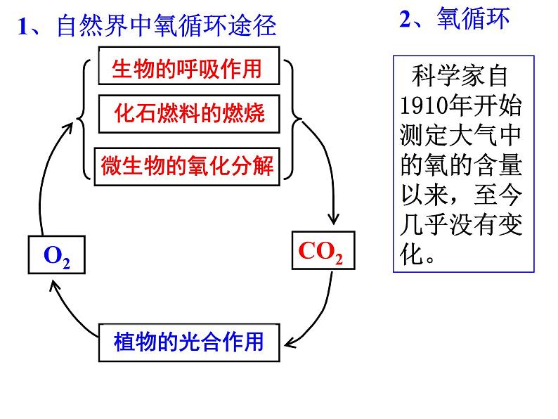 浙教版八下科学 3.7自然界中的氧循环和碳循环 课件第4页