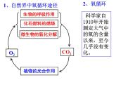浙教版八下科学 3.7自然界中的氧循环和碳循环 课件