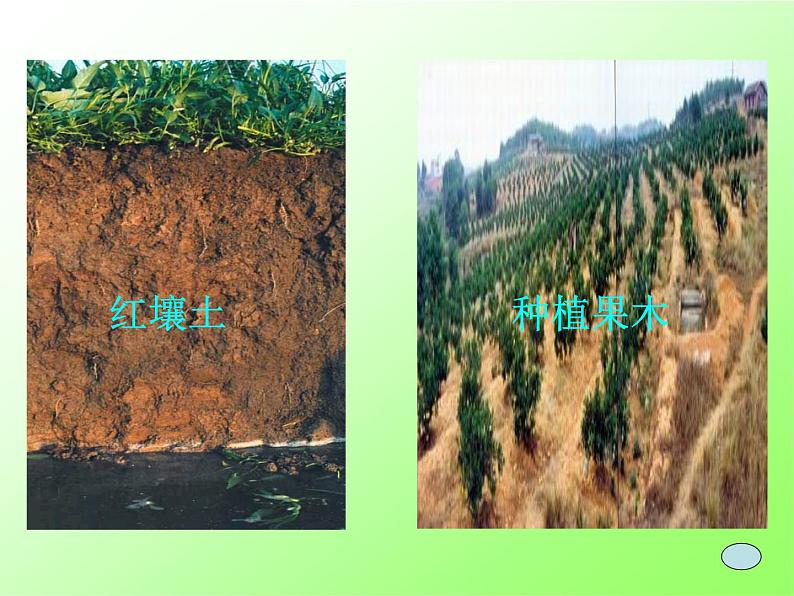 浙教版八下科学 4.1土壤的成分 课件04