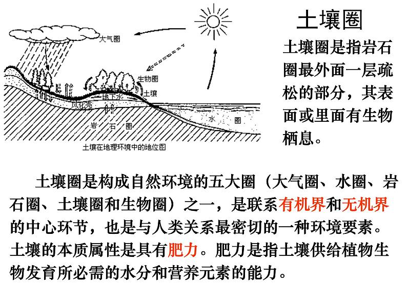 浙教版八下科学 4.1土壤的成分 课件06