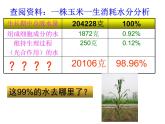 浙教版八下科学 4.5植物的叶与蒸腾作用 课件