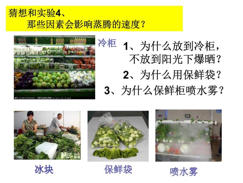 浙教版八下科学 4.5植物的叶与蒸腾作用 课件07