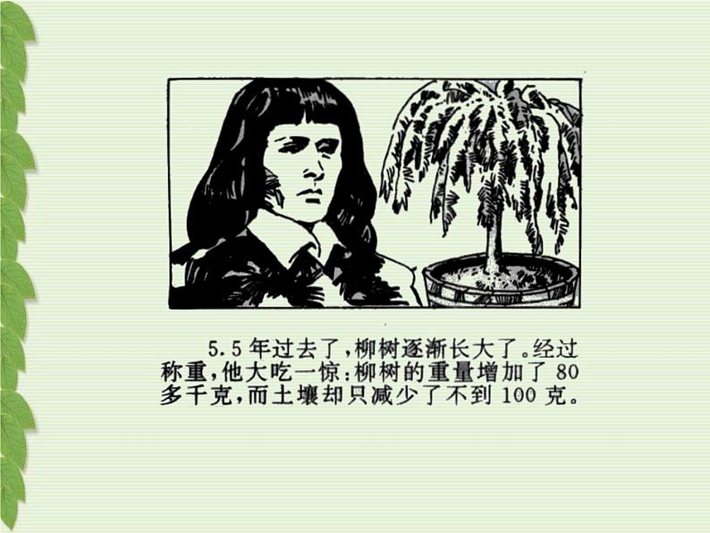 浙教版八下科学 3.6光合作用 课件06