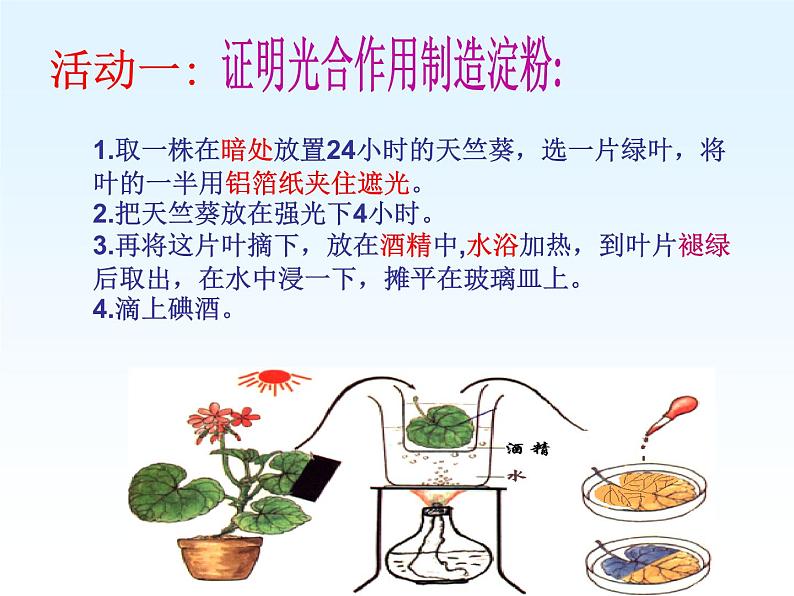 浙教版八下科学 3.6光合作用 课件08