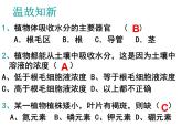 浙教版八下科学 4.4植物的茎与物质运输  课件