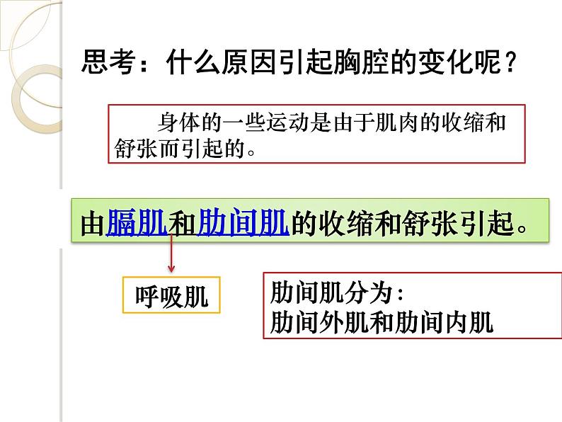 浙教版八下科学 3.5生物的呼吸和呼吸作用 课件第7页