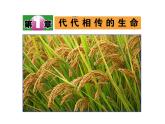 浙教版七下科学 1.1新生命的诞生 课件