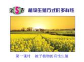 浙教版七下科学 1.5植物生殖方式的多样性 课件