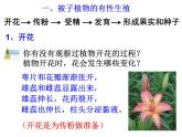 浙教版七下科学 1.5植物生殖方式的多样性 课件