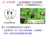 浙教版七下科学 1.5植物生殖方式的多样性 课件