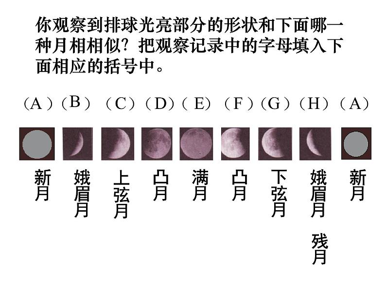 浙教版七下科学 4.4月相 课件04