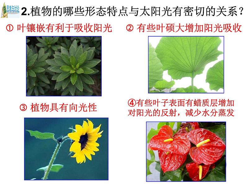 浙教版七下科学 4.1太阳和月球 课件第7页