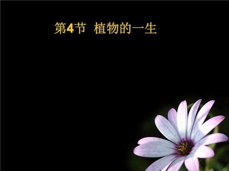 浙教版七下科学 1.4植物的一生 课件第1页