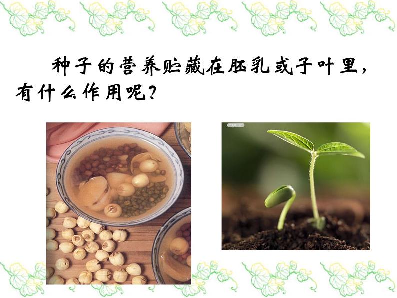 浙教版七下科学 1.4植物的一生 课件第2页