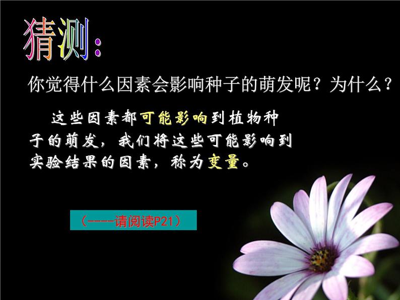 浙教版七下科学 1.4植物的一生 课件第4页