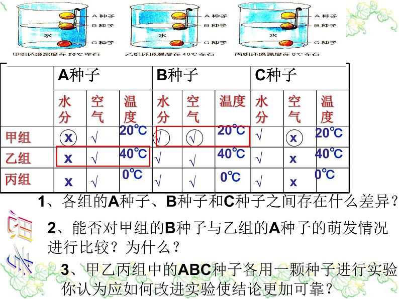 浙教版七下科学 1.4植物的一生 课件第7页