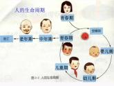 浙教版七下科学 1.3动物的生长时期 课件