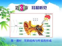 初中科学浙教版七年级下册第2章 对环境的察觉第3节 耳和听觉备课ppt课件