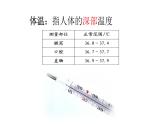 华师大版八年级下册科学 7.4人体是一个统一的整体 课件