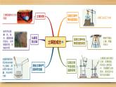 浙教版八下科学 第4章 植物与土壤复习 课件