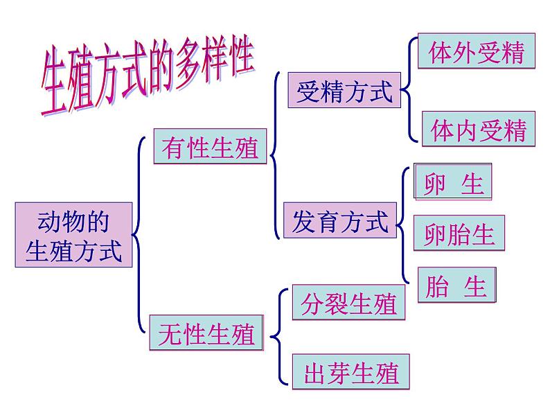 浙教版七下科学 第1单元  复习 课件02