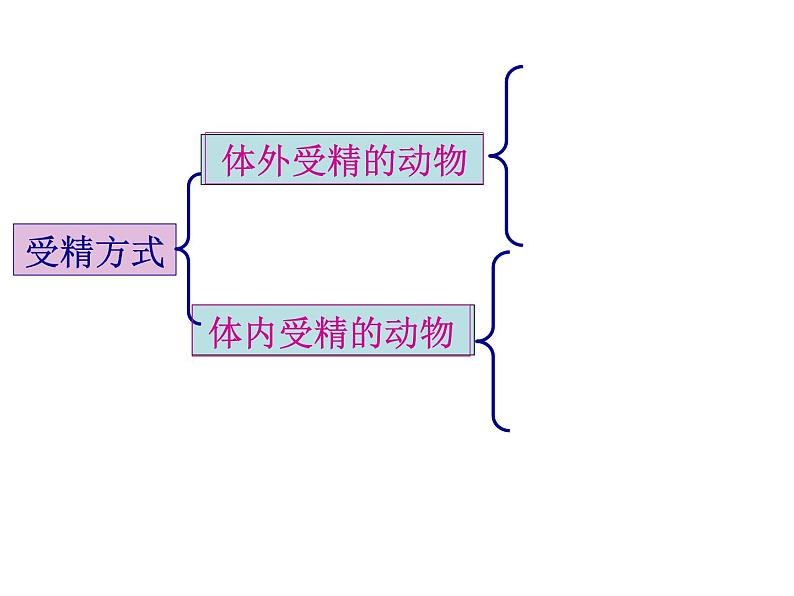 浙教版七下科学 第1单元  复习 课件03