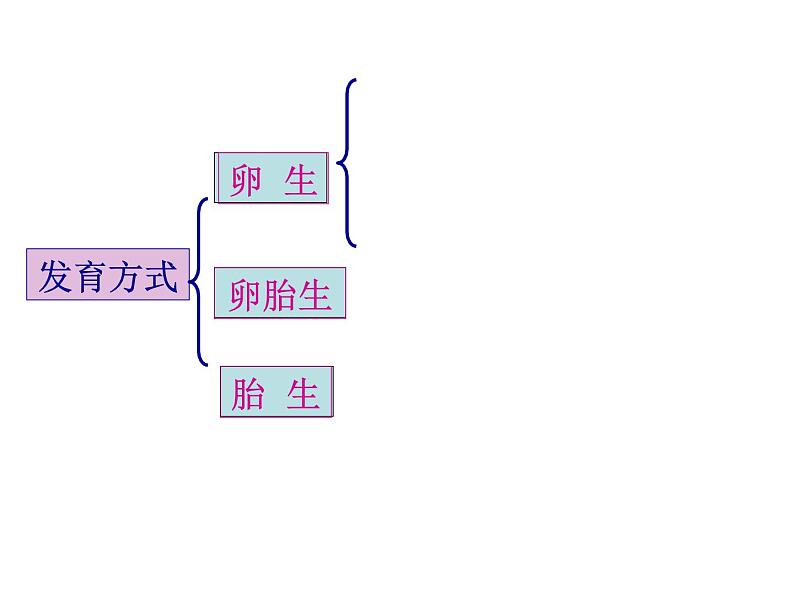 浙教版七下科学 第1单元  复习 课件04