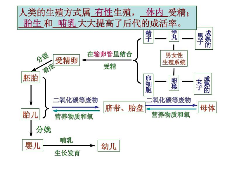 浙教版七下科学 第1单元  复习 课件05