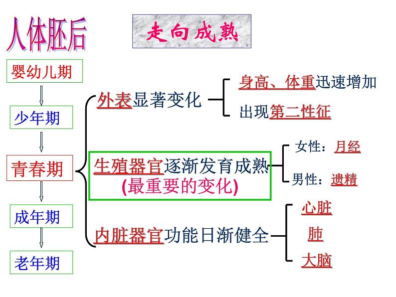 浙教版七下科学 第1单元  复习 课件06