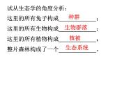 华师大版七年级下册科学 5.2生态系统 课件