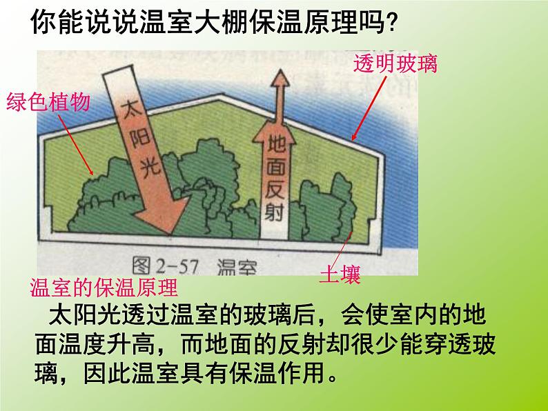 华师大版七年级下册科学 2.5保护大气圈 课件第5页