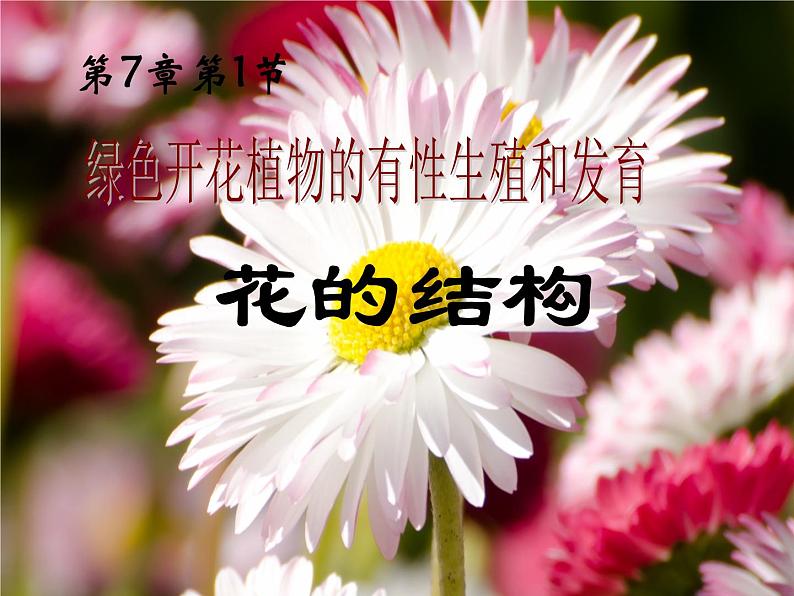 华师大版七年级下册科学 7.1绿色开花植物的有性生殖和发育 课件01