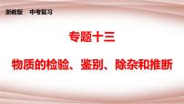 中考科学【二轮专题】复习 专题十三 物质的检验、鉴别、除杂和推断课件PPT