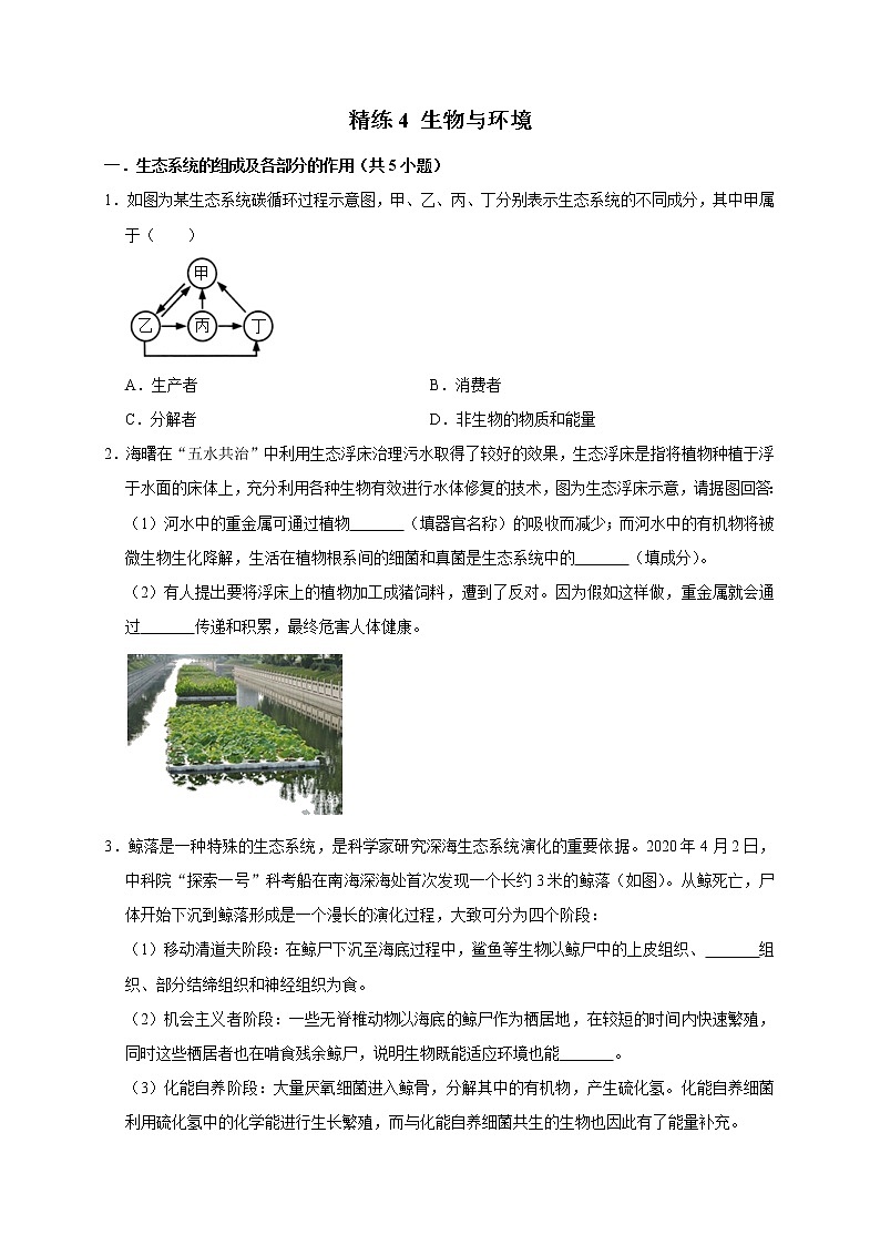 精练4 生物与环境（原卷版）第1页