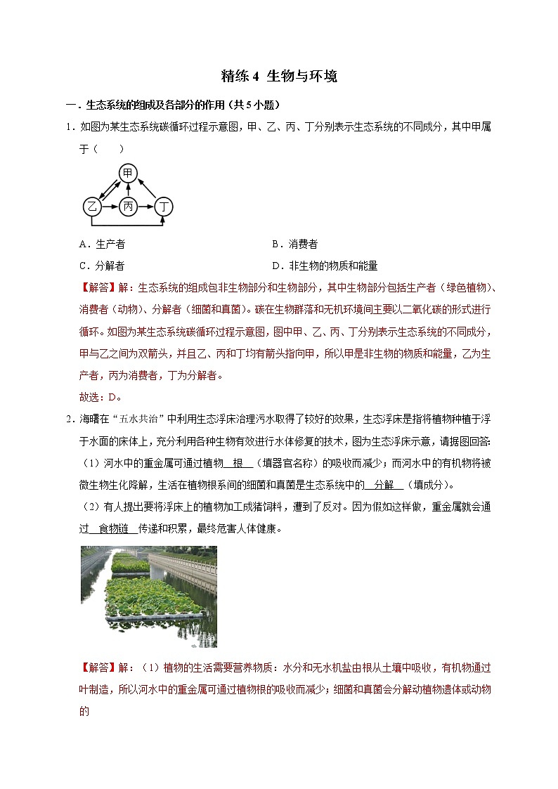 精练4 生物与环境（解析版）第1页