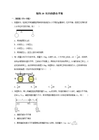 2022年浙江中考科学复习重难点精练 精练10 杠杆的静态平衡