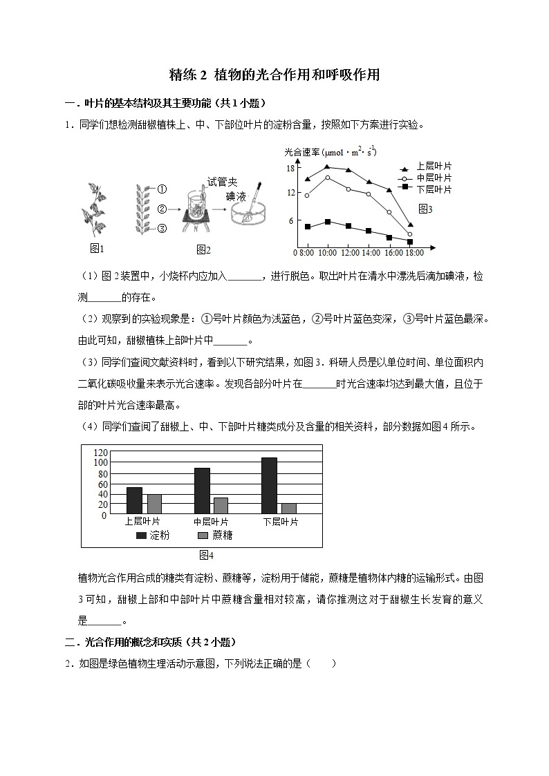 2022年浙江中考科学复习重难点精练 精练2 植物的光合作用和呼吸作用01