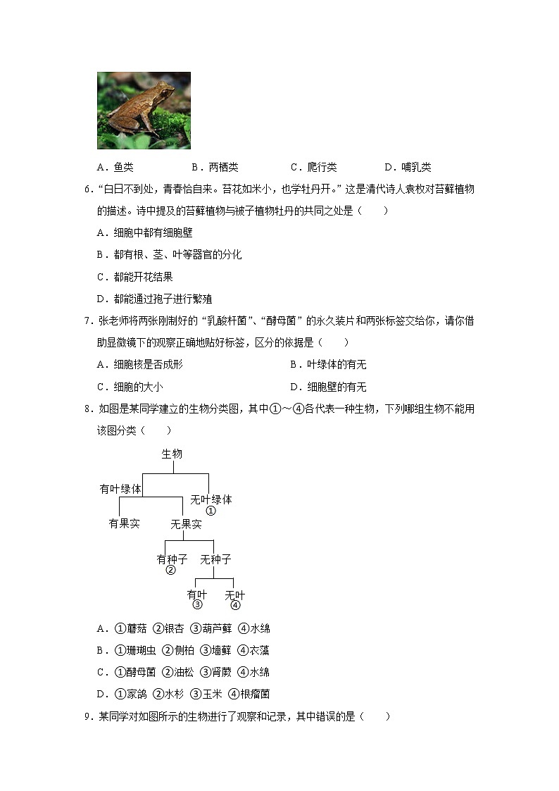 2022年浙江省中考科学专题训练 6生物多样性02