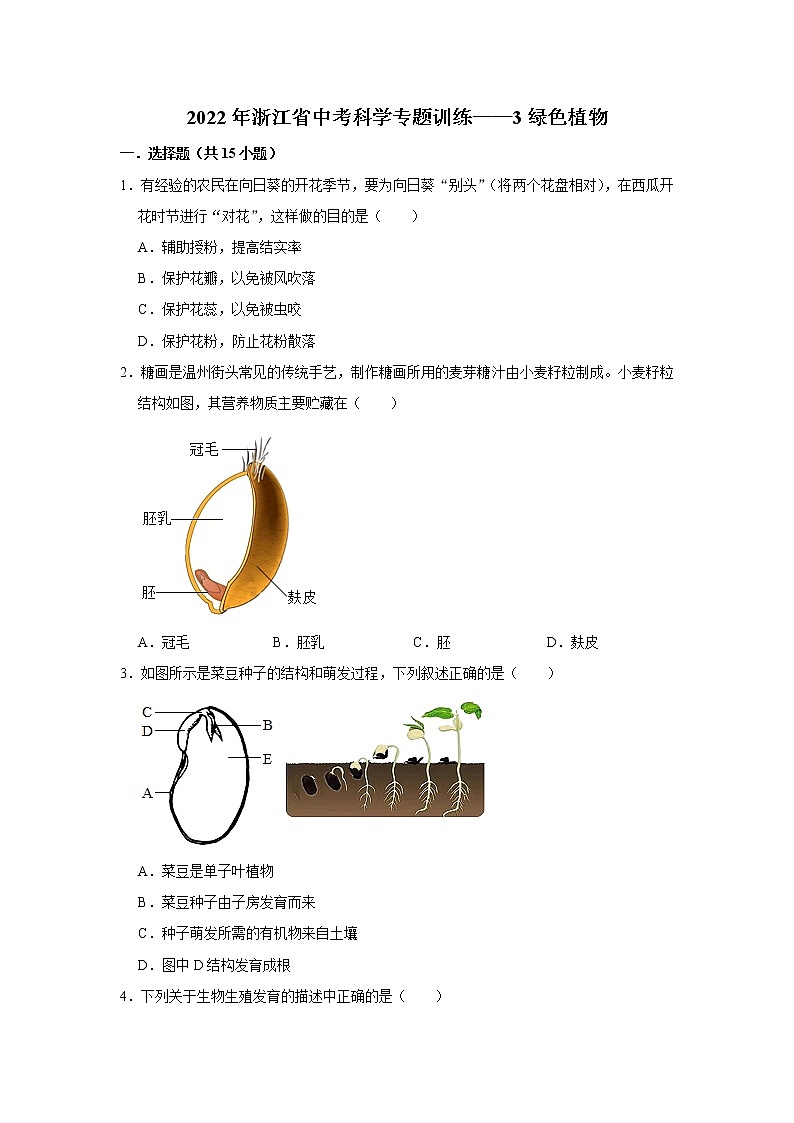 2022年浙江省中考科学专题训练 3绿色植物01