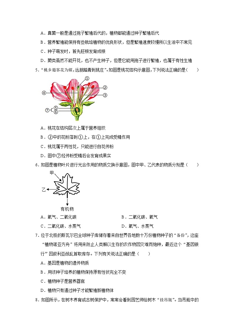 2022年浙江省中考科学专题训练 3绿色植物02