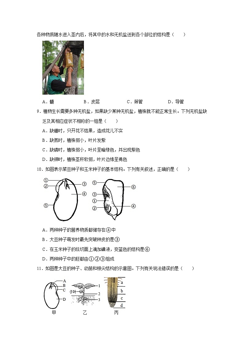 2022年浙江省中考科学专题训练 3绿色植物03