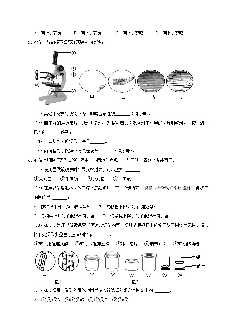 精练1 显微镜的使用问题（原卷版）第2页
