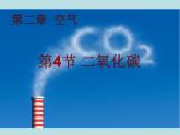 华师大版七年级下册科学 2.4二氧化碳 课件