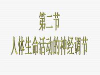 初中科学华师大版八年级下册2 人体生命活动的神经调节评课ppt课件