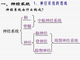 华师大版八年级下册科学 7.2人体生命活动的神经调节 课件